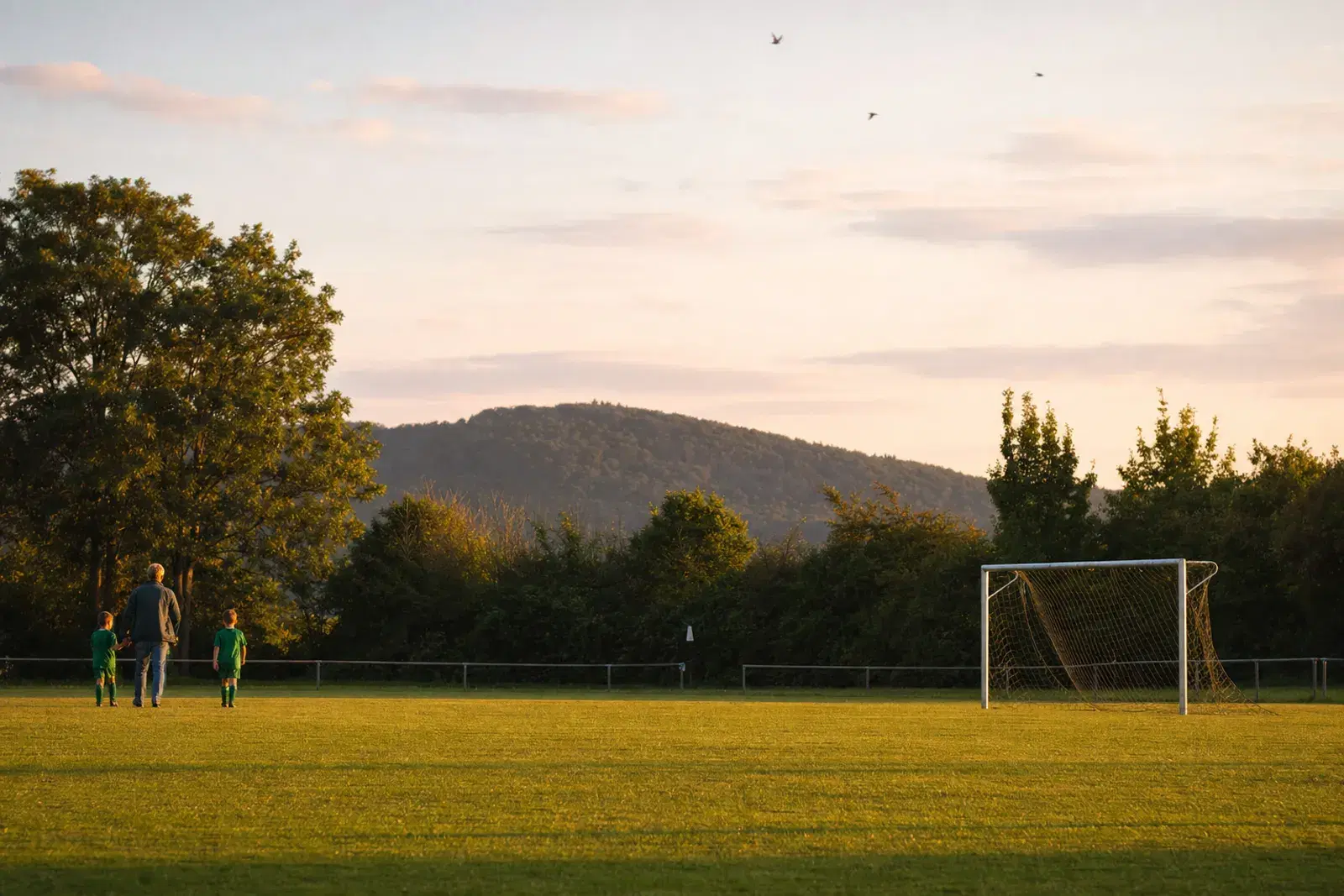 Ein leerer Fußballplatz im warmen Abendlicht, ein Tor steht am Rand, dahinter Bäume.